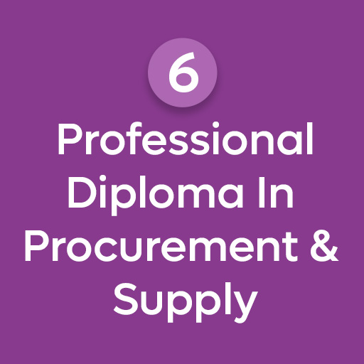 CIPS Level 6 - Professional Diploma In Procurement & Supply 